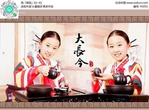 日本大长今免费观看,免费观看，穿越时空的医术传奇