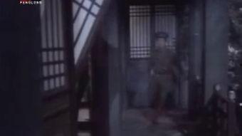 张保仔电影免费观看,海上传奇，免费观影之旅