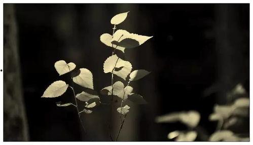 央视主持人冀星老公,揭秘央视名嘴背后的温馨家庭生活