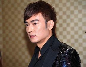 冯姓男明星,星光熠熠，魅力无限