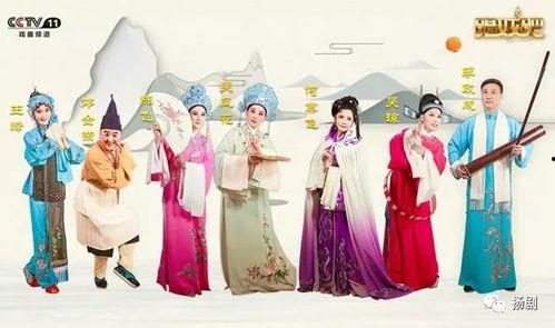 扬剧视频大全,视频大全中的艺术瑰宝